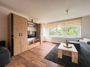 Apartmány Slavíkov - Superior Apartmán, Horní Radechová